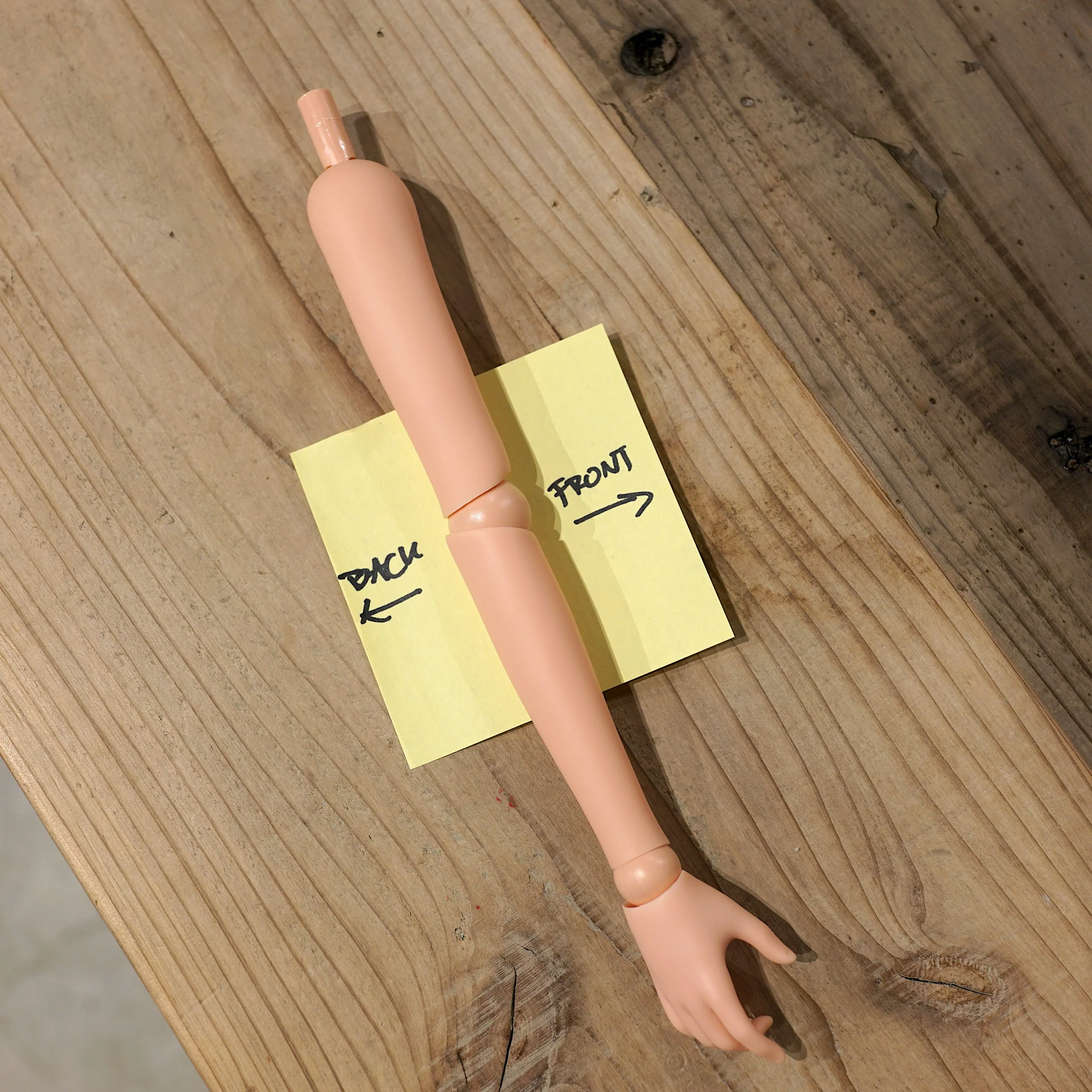Arms (Cinnamon color) - Image 2