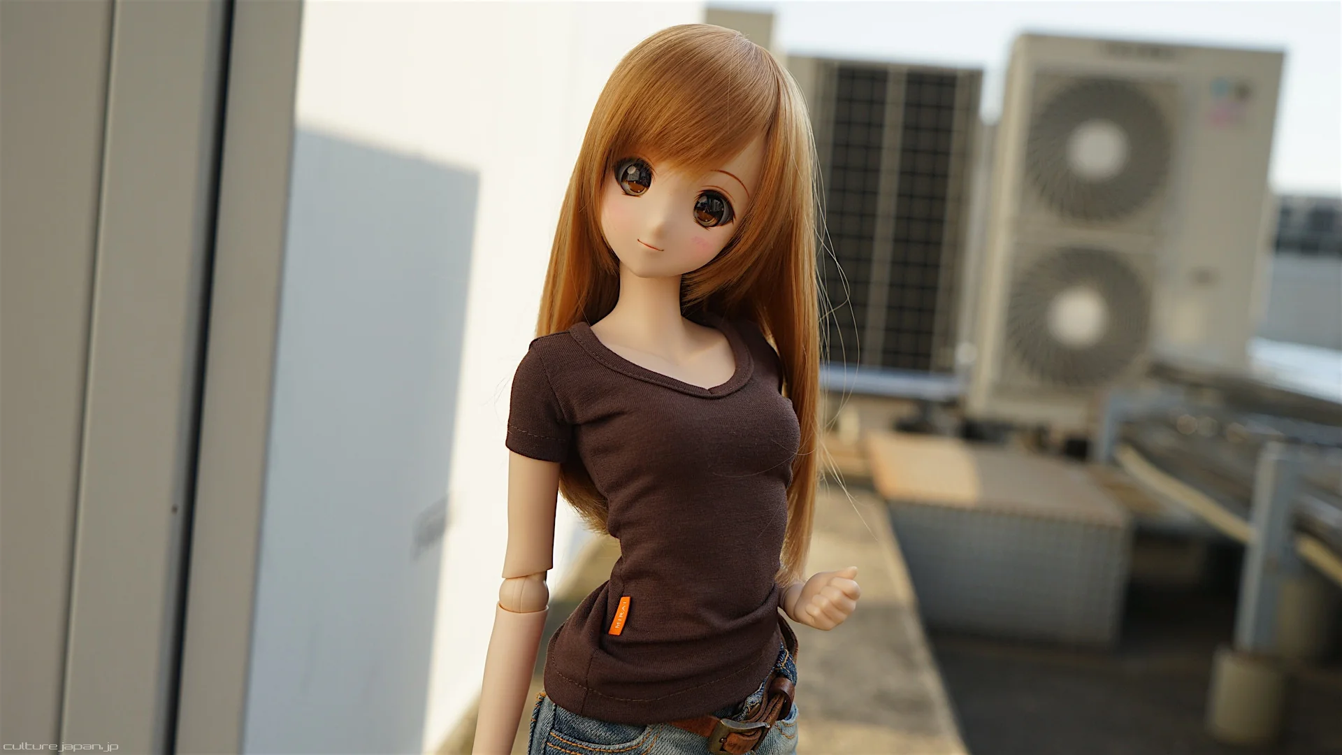 Ballerina V-Neck T-Shirt (Dark Brown) - Image 2