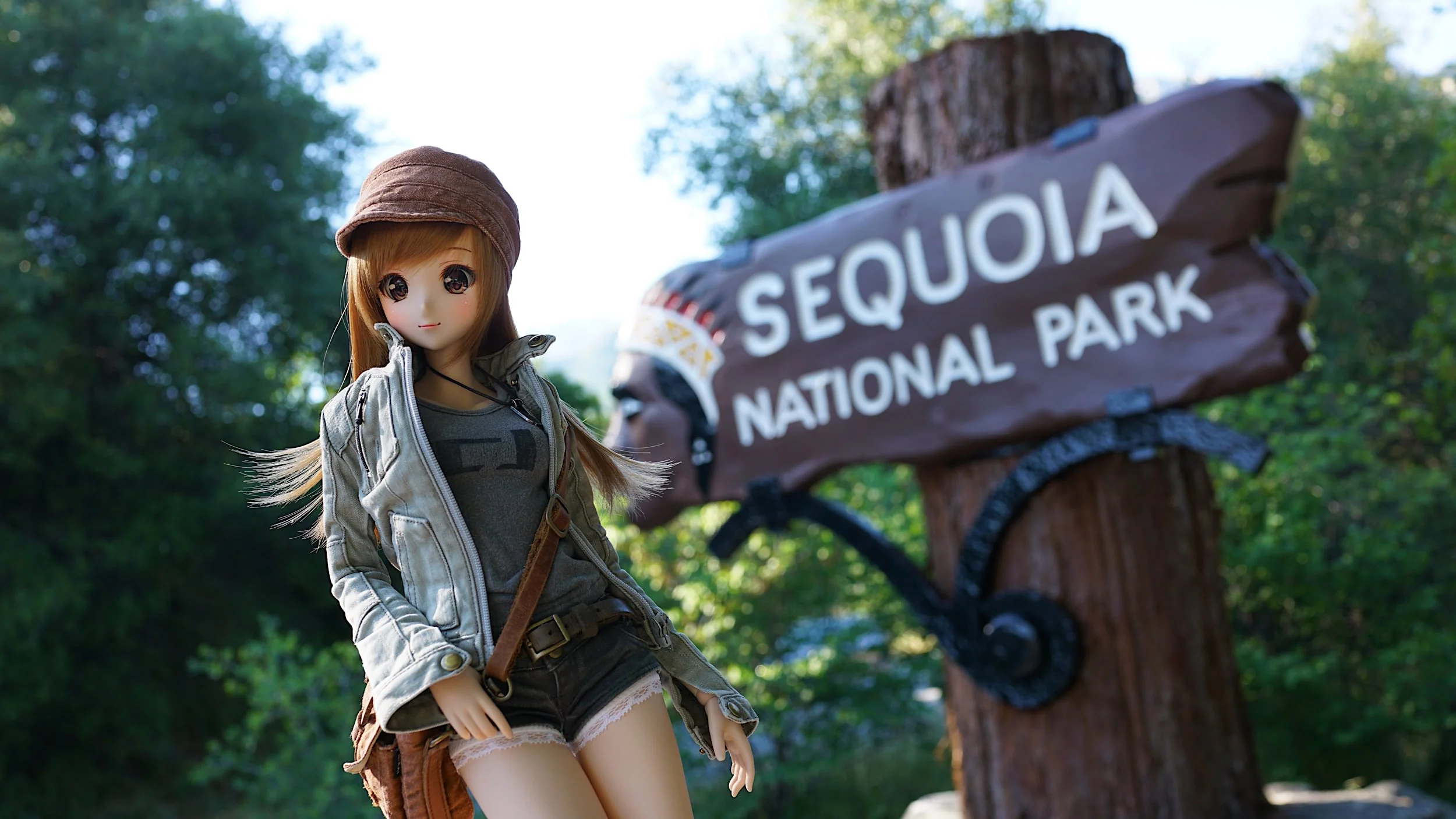 Sequoia Jacket - Image 24