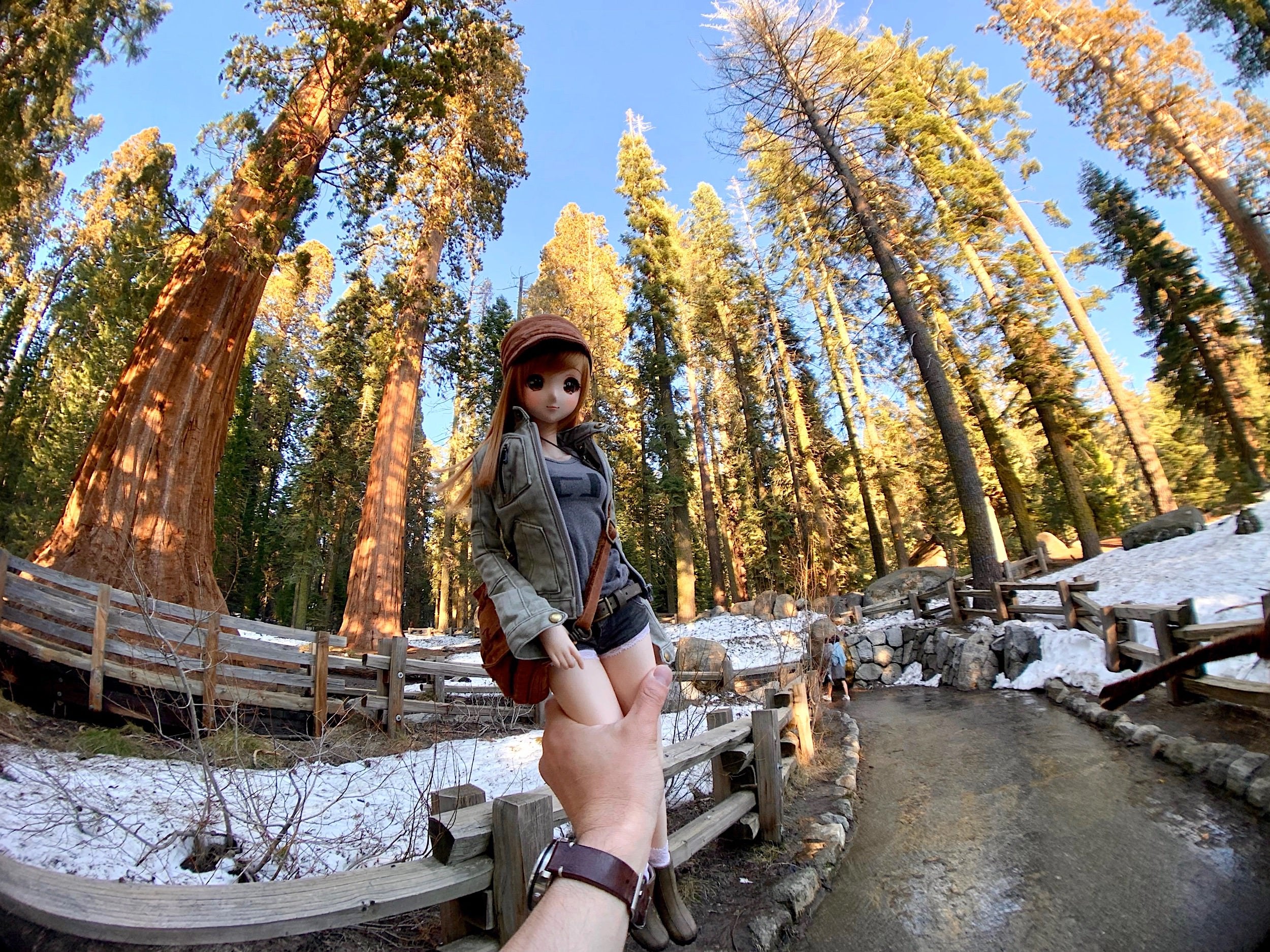 Sequoia Jacket - Image 25